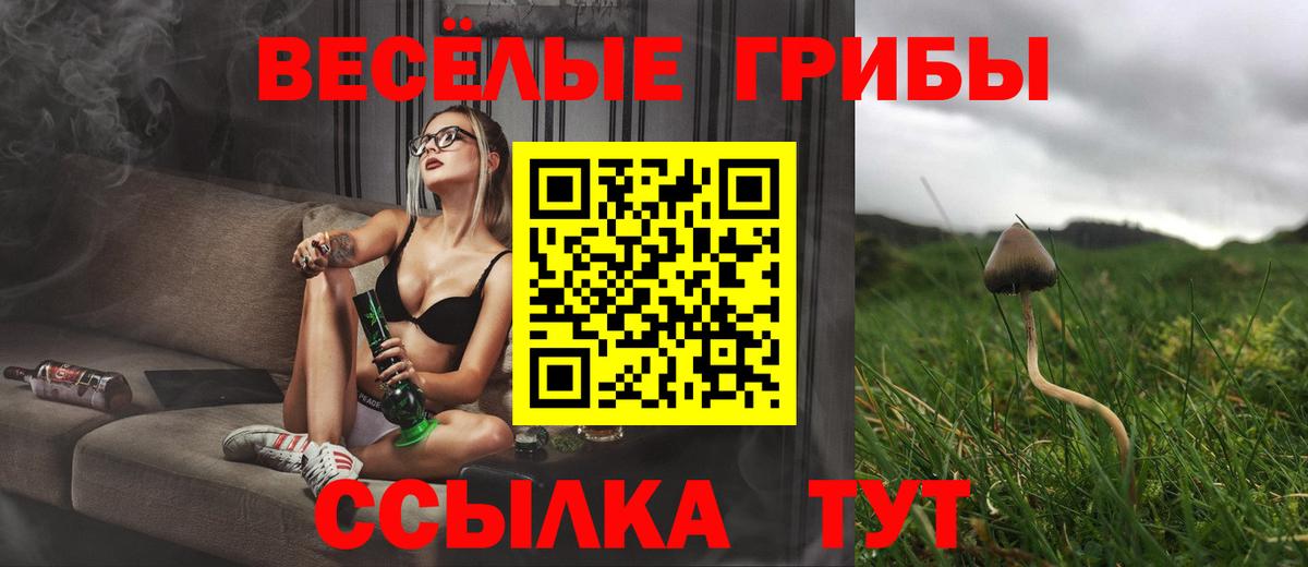 Псилоцибиновые грибы Psilocybine cubensis Верхний Уфалей